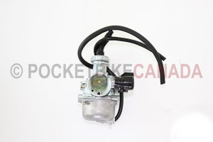 carburetor 817 707 701 pz19-1